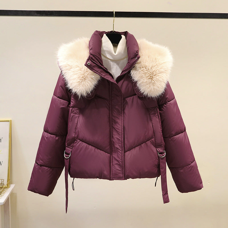 Dames korte gewatteerde jas met volumineuze faux fur kraag en tailleband