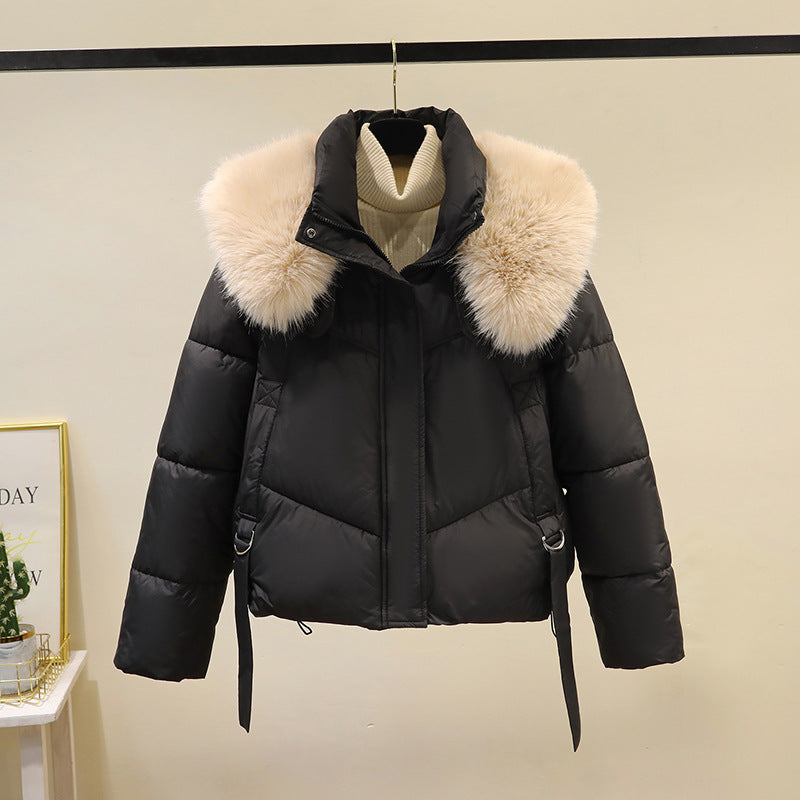 Dames korte gewatteerde jas met volumineuze faux fur kraag en tailleband