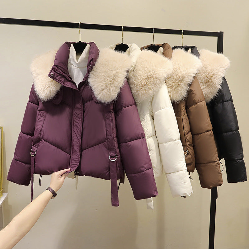 Dames korte gewatteerde jas met volumineuze faux fur kraag en tailleband